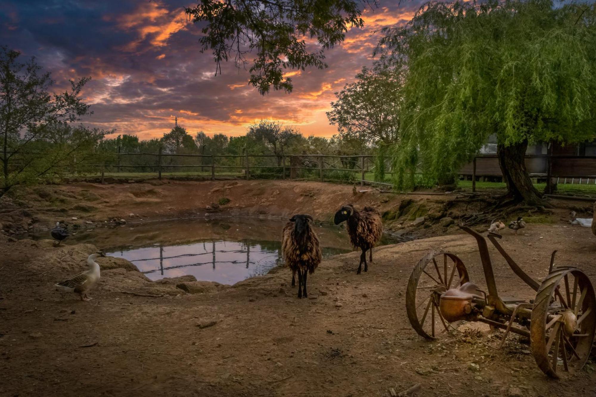 Bio Agriturismo Aia Del Tufo Sorano  Dış mekan fotoğraf